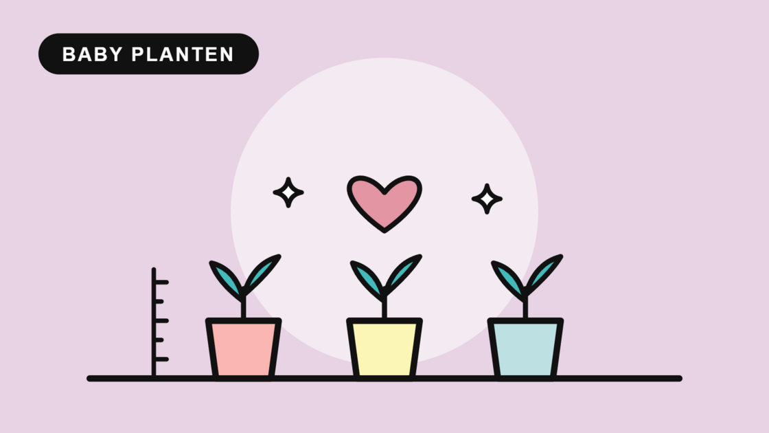 Baby planten