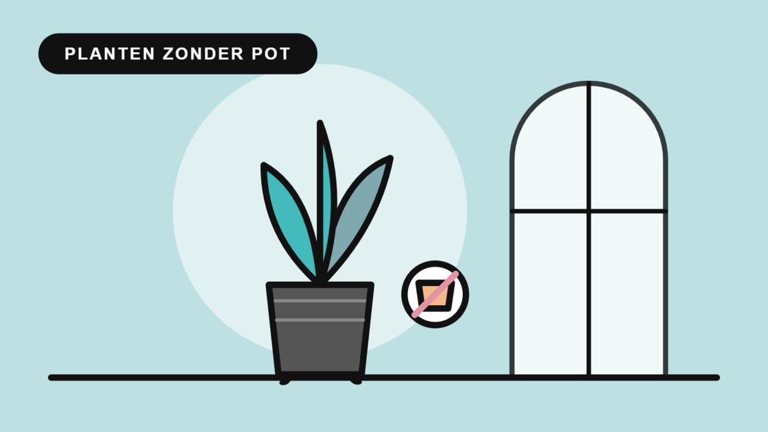 Planten zonder pot