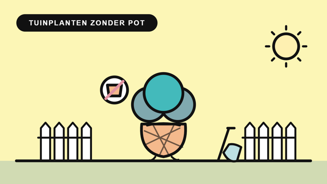 Tuinplanten zonder pot