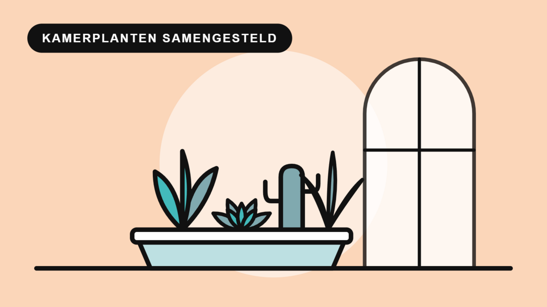 Kamerplanten samengesteld